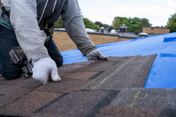 Professional Roofing Contractor in Maryville, TN